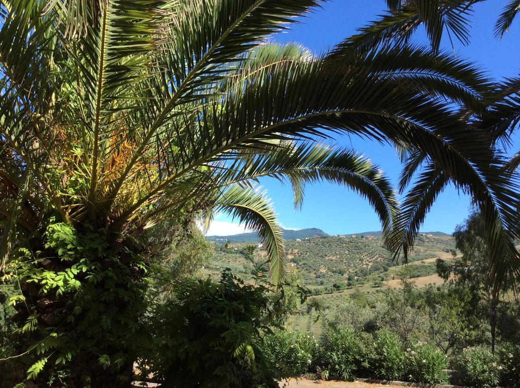 Hotel Eden Perdifumo Εξωτερικό φωτογραφία